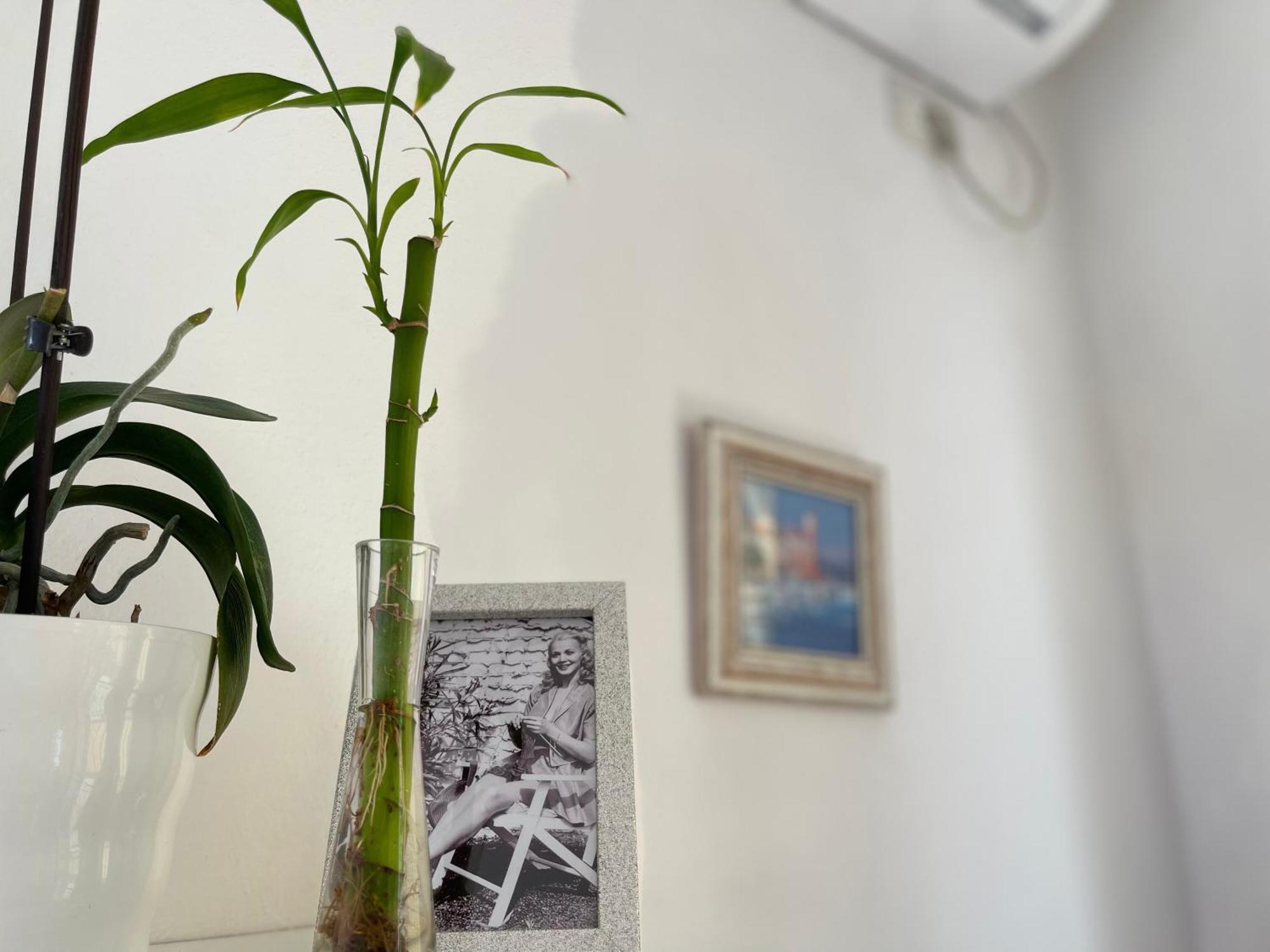 Kristi Apartment 2 Min To Sea Netflix & Espresso Station Saranda Zewnętrze zdjęcie